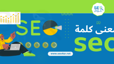 معنى كلمة seo